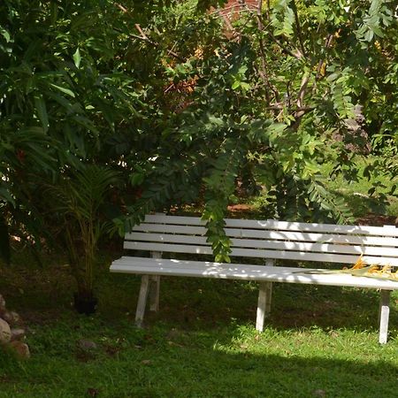 Residence De Vacances Mon Refuge - Bungalow De Type T3 Grande Anse Екстериор снимка