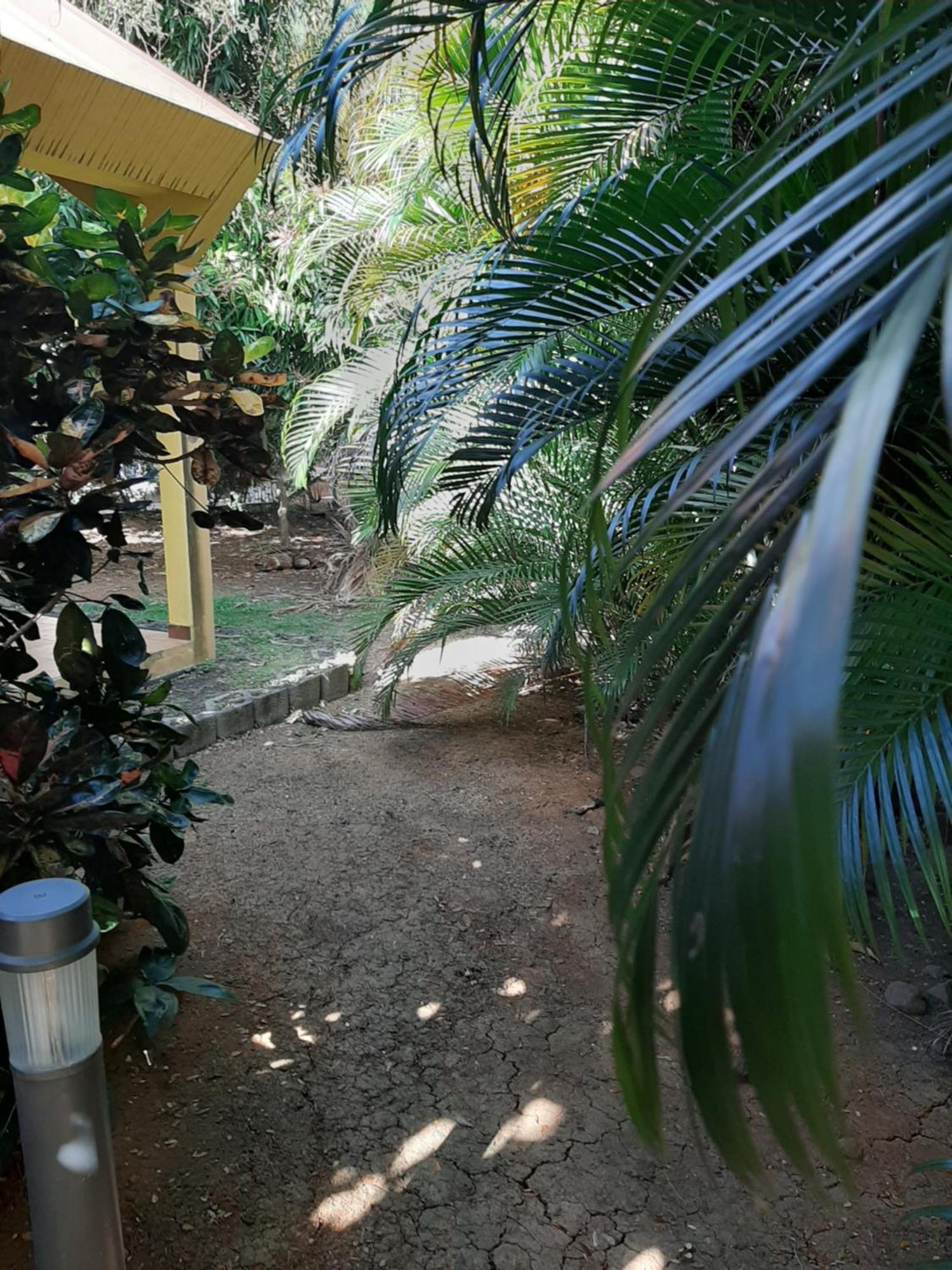Residence De Vacances Mon Refuge - Bungalow De Type T3 Grande Anse Екстериор снимка