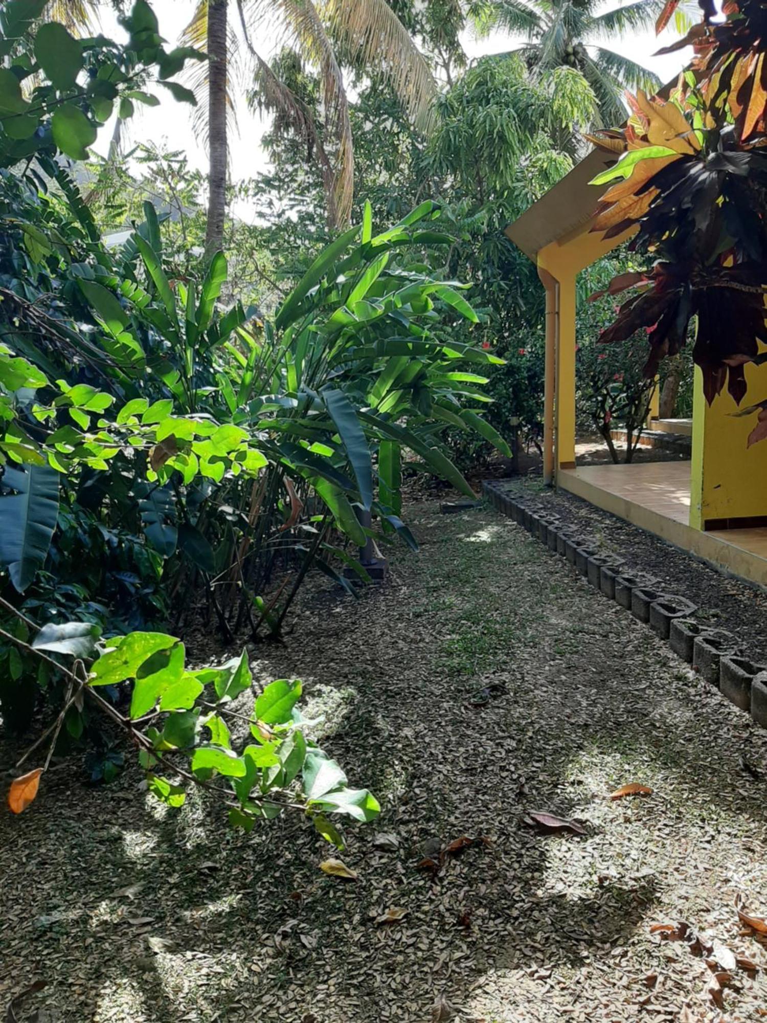 Residence De Vacances Mon Refuge - Bungalow De Type T3 Grande Anse Екстериор снимка